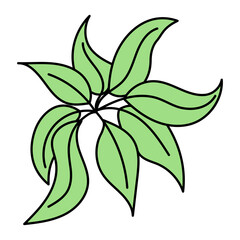Hand drawn tropical leaf vector in doodle style, isolated on white background.