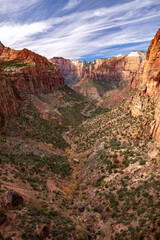 Canyon view in Zion National Park