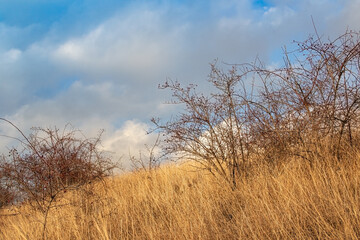 Autumn-winter rural landscape in the mountains before sunset
