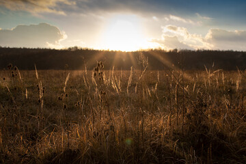 Autumn-winter rural landscape in the mountains before sunset