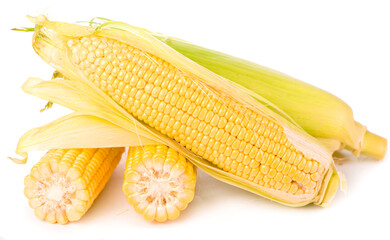 Corn cobs on white background. raw corn with green leaves on a white background