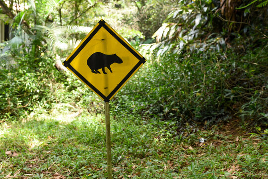 Warning sign of the presence of the endemic animal guatin of the valle del cauca, cali colombia