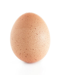 Chicken egg