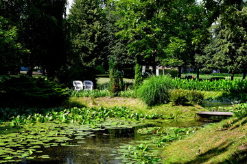 Fototapeta na wymiar A view of a well maintained garden, including a big pond covered from all sides with moss, reeds and other flora, with two seats visible in the middle of a forest or moor spotted in summer