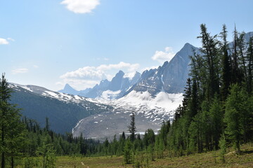 Obraz premium national park