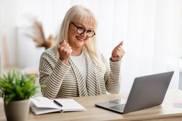 Mature woman using laptop celebrating success shaking fists