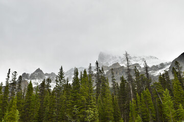 landscape with clouds