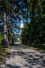 Fototapeta premium The lighthouse Tall Erik at the northern tip of the Baltic Island of Oland. Pine forest in the foreground