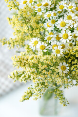 Blossoming flowers in spring