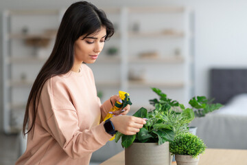 Woman spraying home plant with pure water from spray bottle
