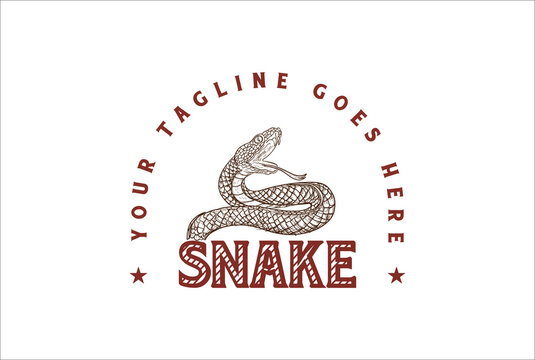 Vintage Retro Viper Cobra Anaconda Boa Snake Logo Design Vector