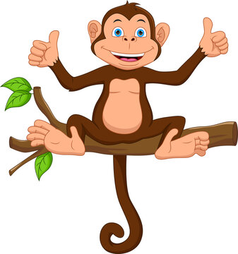 cartoon monkey on the tree and thumbs up
