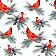 Winter Seamless pattern with Birds. Bullfinch and Cardinal