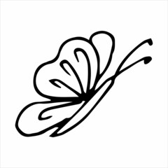 Hand-drawn butterfly doodle element for coloring, invitation, postcard. Black and white vector image