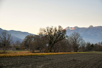 Obraz premium Vaduz, Liechtenstein, November 19, 2021 Arable field in the evening