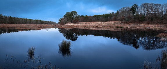 Tranquil pond in forest with blue cloudy sky and water reflections. Green aqua plants in the calm water and dried grasses in the riverbank. Old cranberry bog revitalized for fish and wildlife.