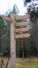 Wooden signpost in the forest