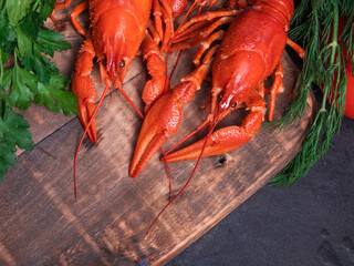 Traditional swedish crayfish party dinner