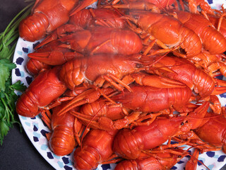 A pile of tasty boiled crawfish. Boiled red crayfish or crawfish with herbs on a table
