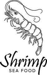 Shrimp prawn icons set. Boiled Shrimp drawing on a white background. Collection shrimp, shrimps without shell, shrimp meat, sushi. Realistic vector illustration for banner, promo