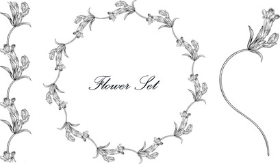 Floral set with black and white delicate flowers. Romantic set