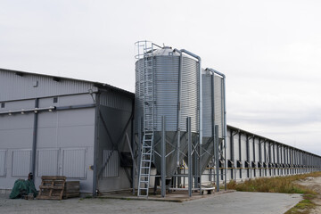 Fototapeta na wymiar large scale commercial chicken farm with two grain storage silos for the storage of poultry feed