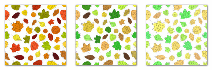 Collection of seasonal seamless patterns with leaves. Vector