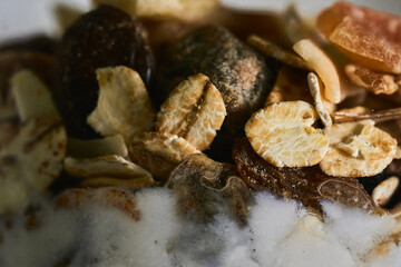 food for a healthy diet of homemade natural yogurt with seeds and nuts
