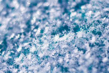Snowflakes photographed close-up on a turquoise and blurred background.