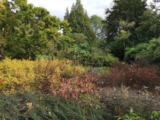 spring in the forest