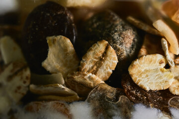 food for a healthy diet of homemade natural yogurt with seeds and nuts