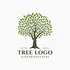 Obraz premium Abstract tree logo design illustration