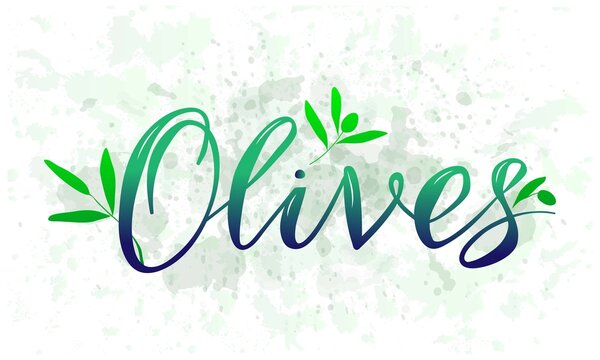 Olives. Modern lettering against the background of colored spots. Vector lettering for olive oil product packaging or farmers market. Design for Italian, Spanish or Mediterranean cuisine.