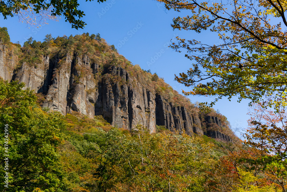 Poster beautiful mountain with autumn season tree