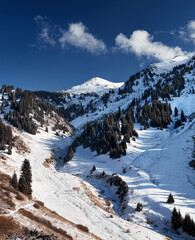 Fototapeta na wymiar Landscape of snowy winter mountains