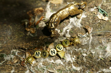 Metal tiger figurine close-up. Next to the inscription money. A financial and esoteric symbol.