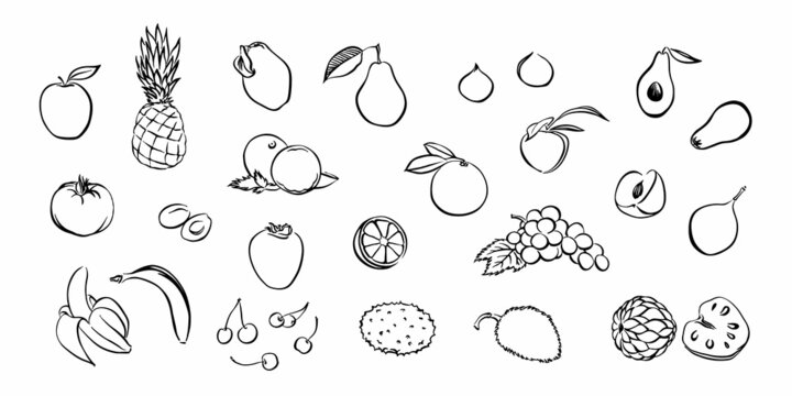 Hand drawn stylized fruit set. Vector collection isolated on white background. Graphic illustration for logo or icon