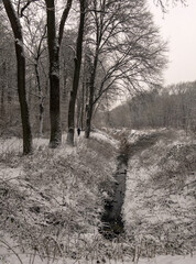 Winter Landscape with Small Dark Frozen River and Leaveless Trees Covered with Snow. Snowy Cloudy Day in a City Park.Woman Walking Among Trees.