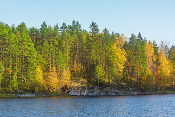 Trees on the cliffs of Lake Ladoga at autumn evening. Republic of Karelia.