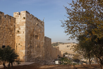 View of the Temple Mount and the south wall