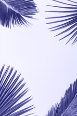Tropical palm leaves background, vacation summer holiday concept