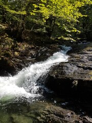 waterfall in the forest