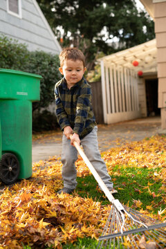 Young boy raking up leaves in yard