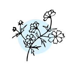 A flower drawn in an illustrator