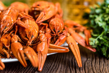 Close up of boiled crayfish on rustic wooden background