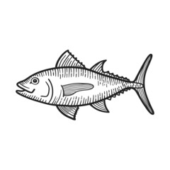 Ink sketch of tuna. Hand drawn. Vector illustration.