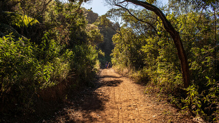 Fototapeta na wymiar Trails in the Serra do Curral Park