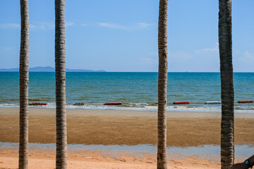 Coconut trees on the beach. Pattaya, Thailand.