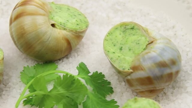 escargots frais au four avec du persil et du beurre &agrave; l'ail sur une assiette