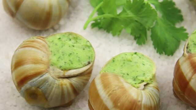 escargots frais au four avec du persil et du beurre &agrave; l'ail sur une assiette